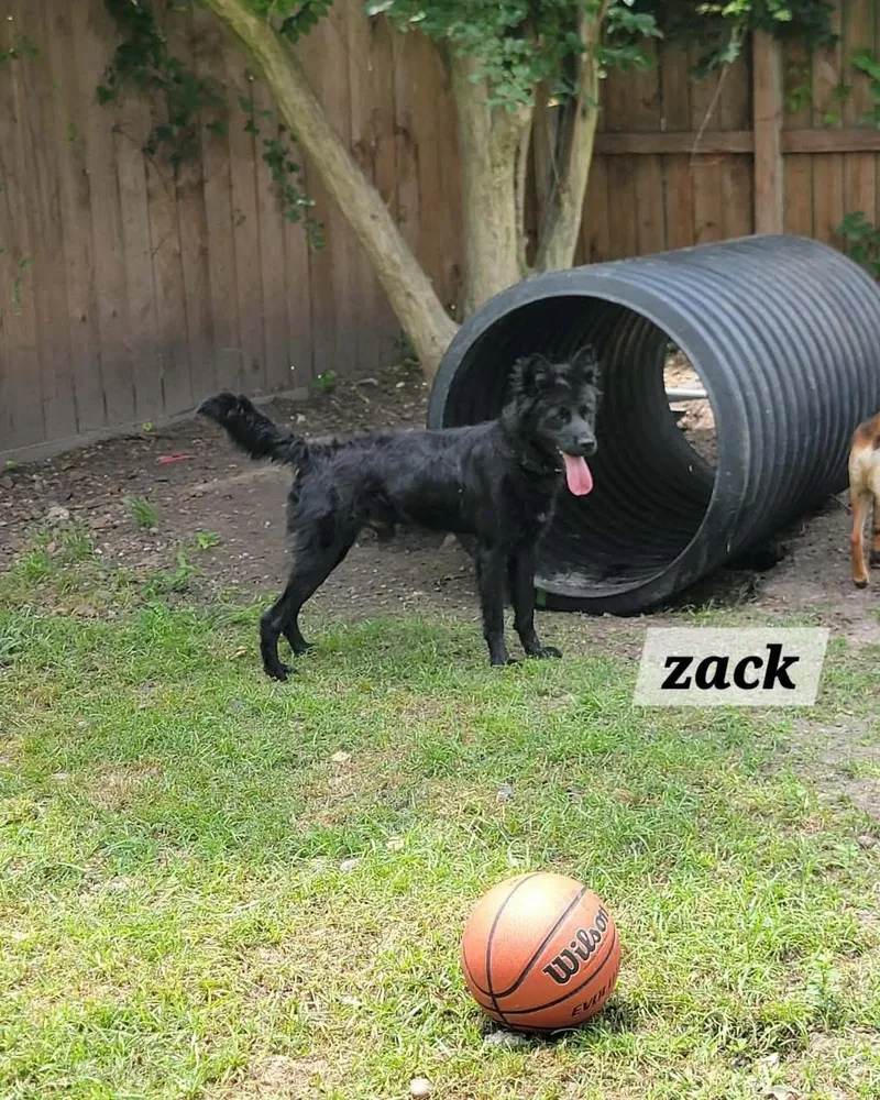 Zack thumbnail 2