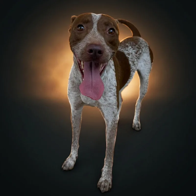 Rudy thumbnail 3