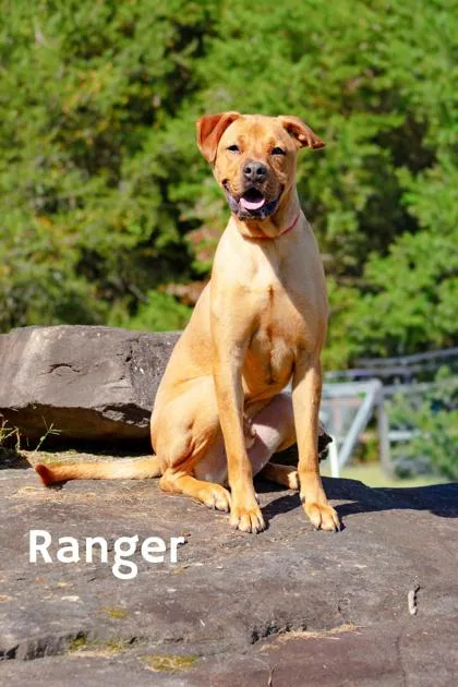 Ranger
