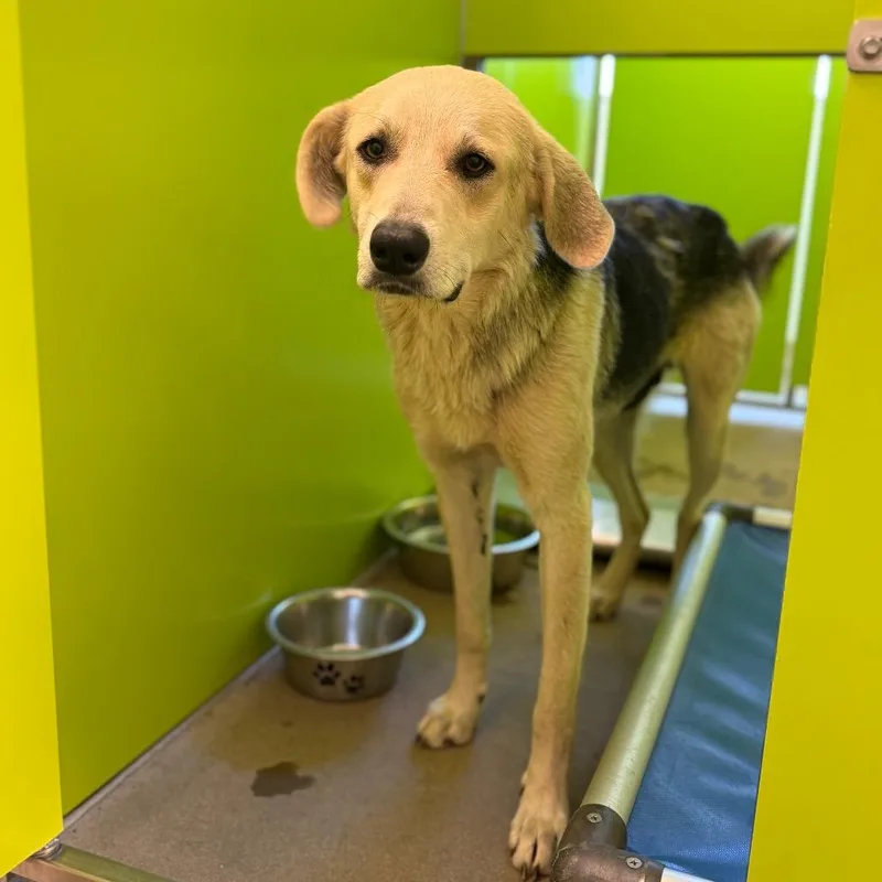 Lc Stacy thumbnail 2