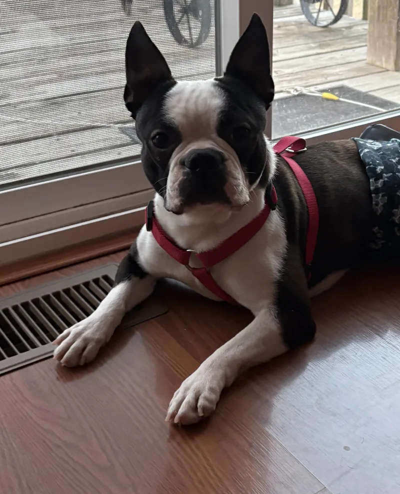 Clark In Ne thumbnail 2