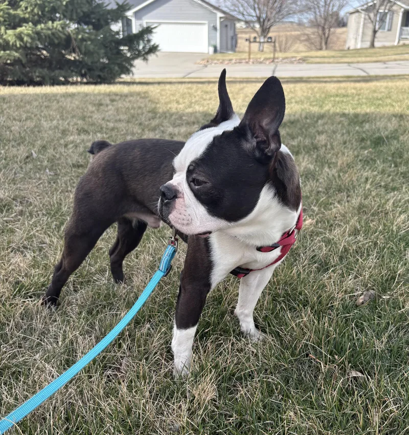 Clark In Ne thumbnail 3