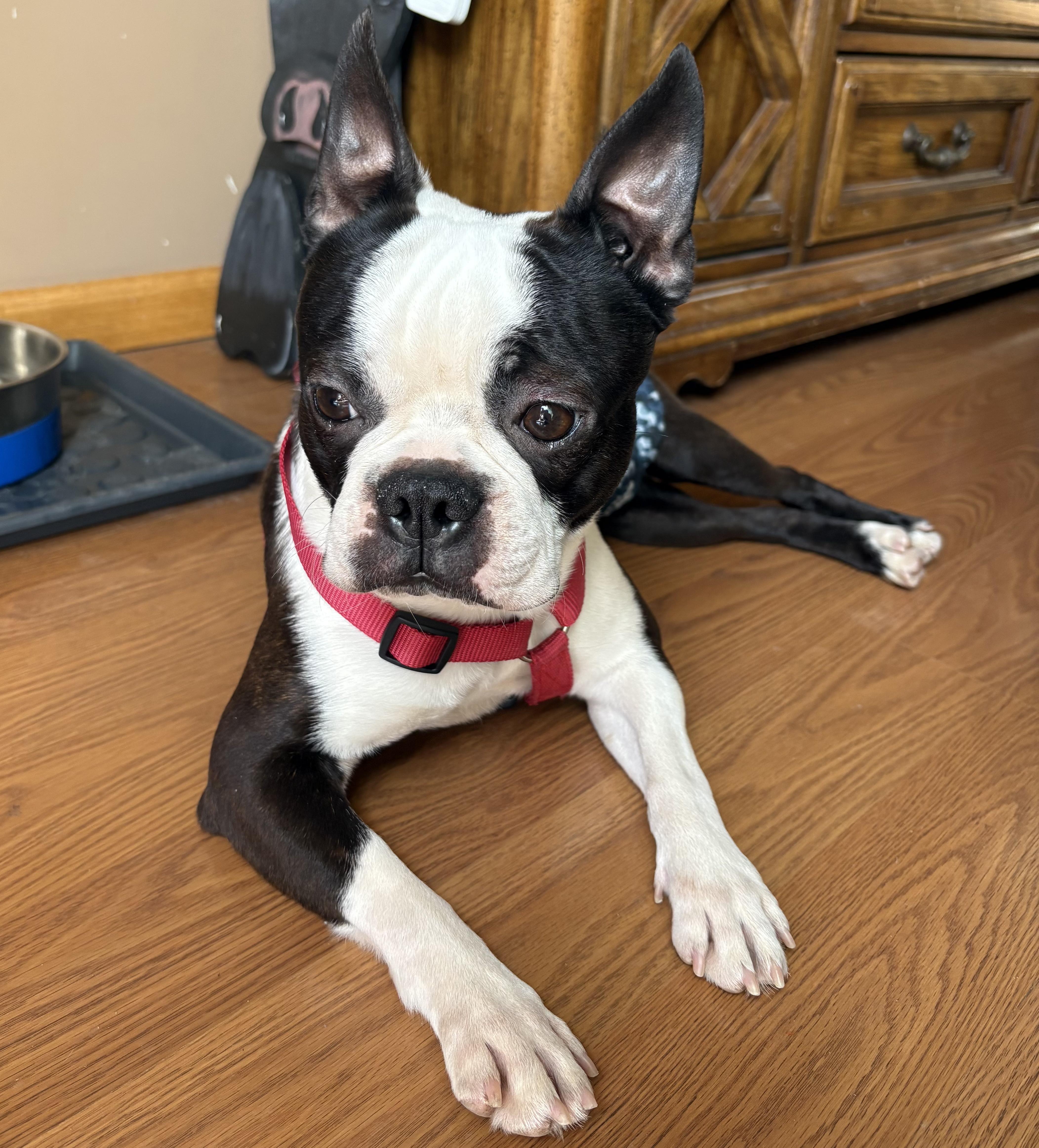 Clark In Ne thumbnail 4