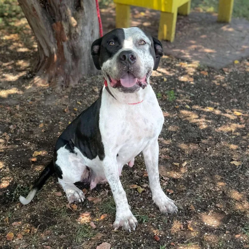 Peachy Keen thumbnail 2