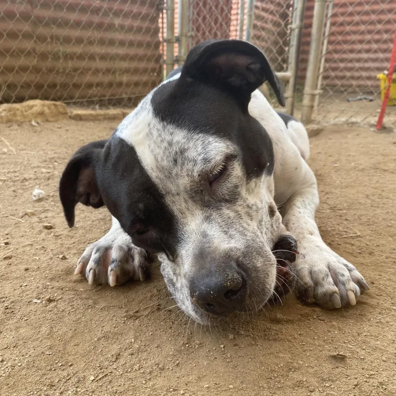 Peachy Keen thumbnail 3