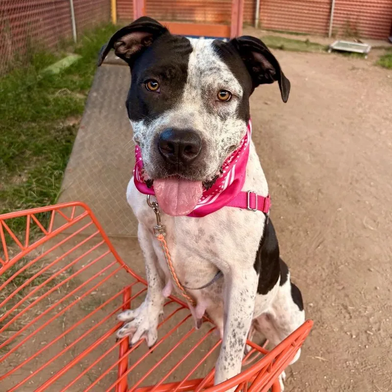 Peachy Keen thumbnail 5