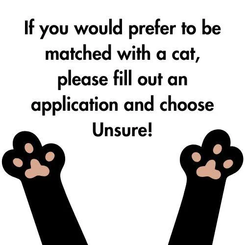 Unknownunsure thumbnail 4