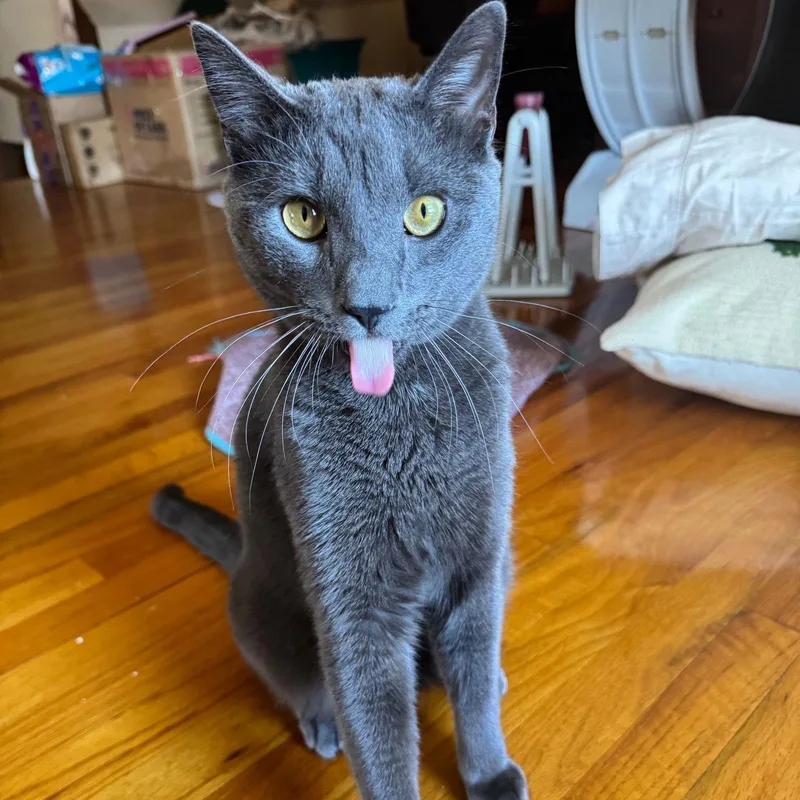 Rocket Man thumbnail 2