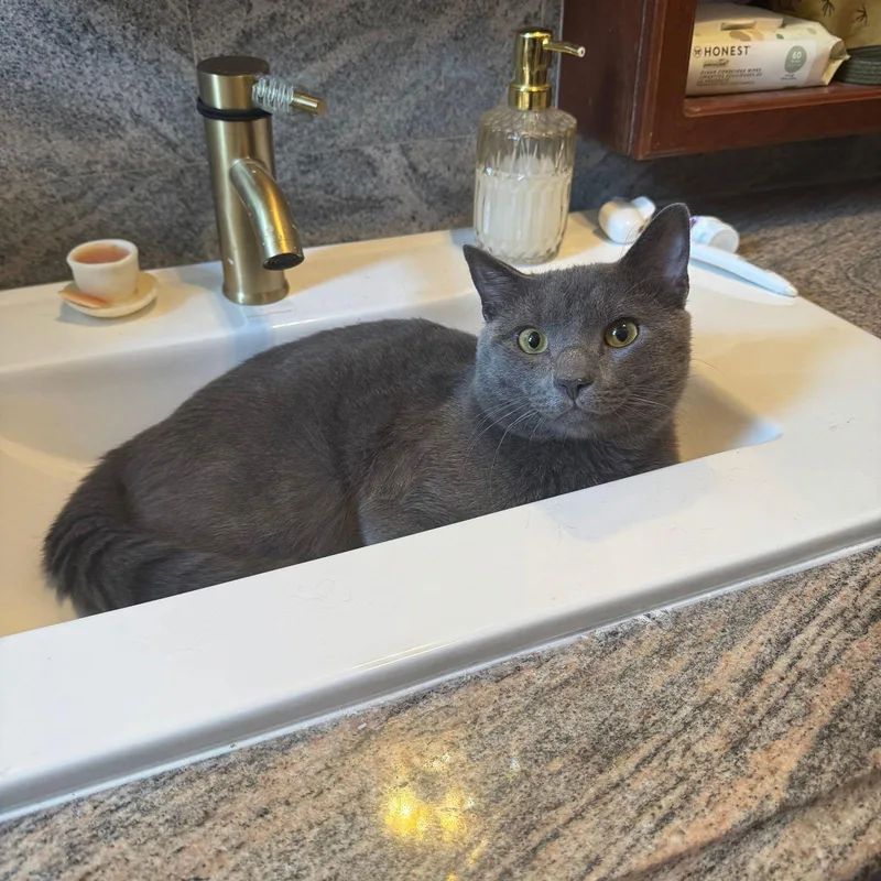 Rocket Man thumbnail 3