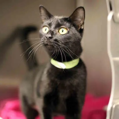 Katherine thumbnail 2