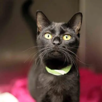 Katherine thumbnail 3