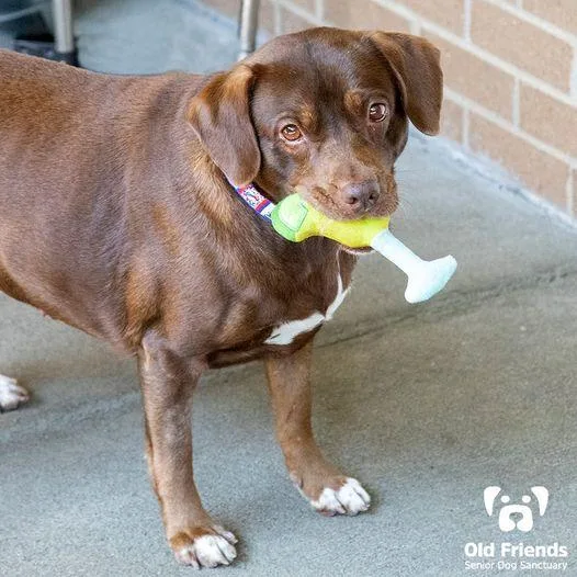 Little Bit thumbnail 2