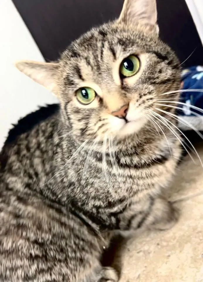 Sid The Sloth thumbnail 4