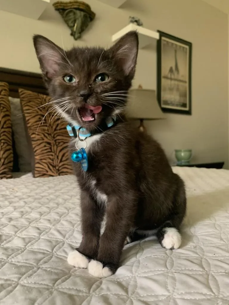Carlos