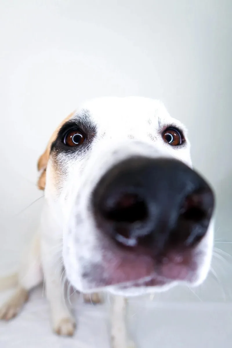 Millie Bobbie Brown thumbnail 2