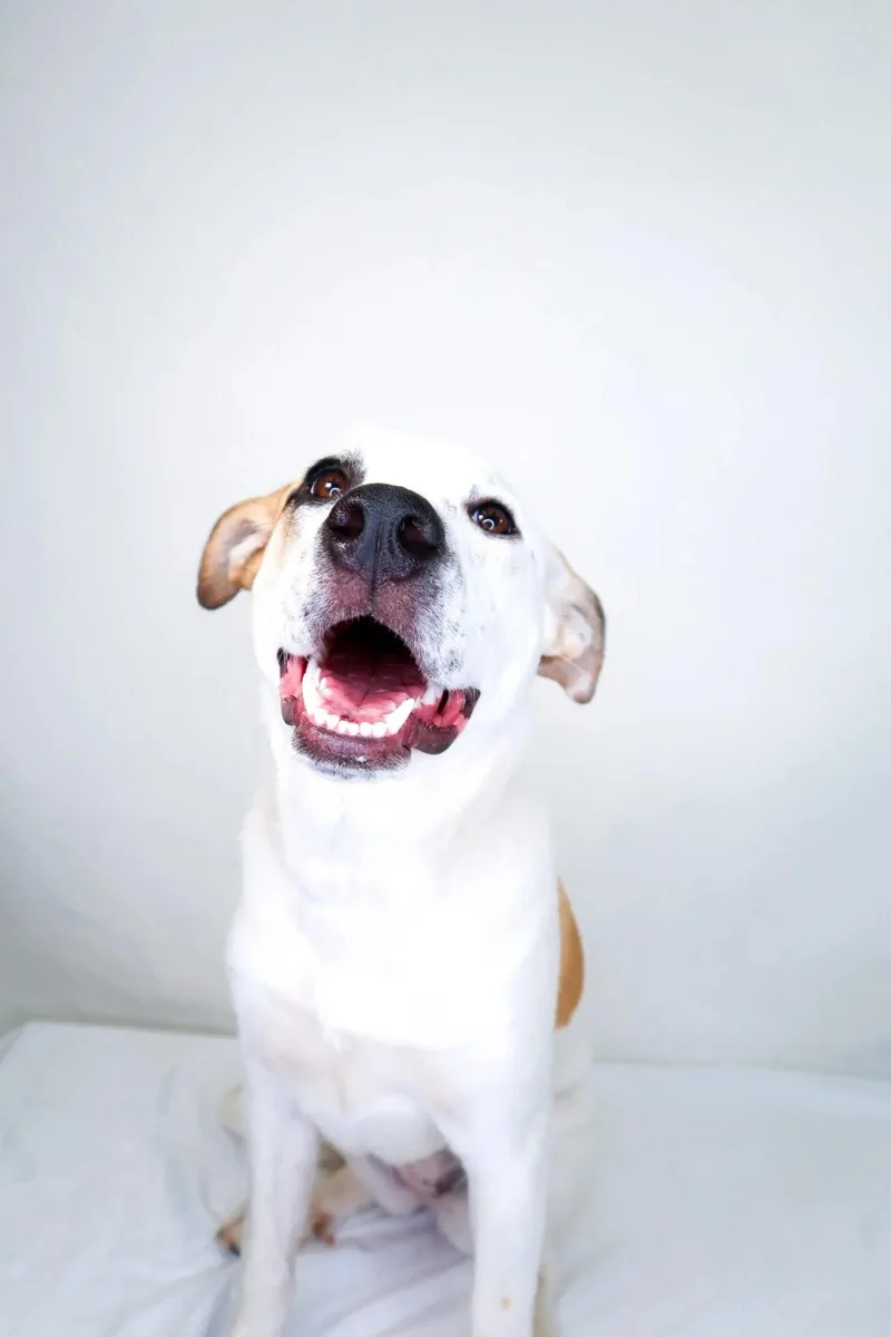 Millie Bobbie Brown thumbnail 3