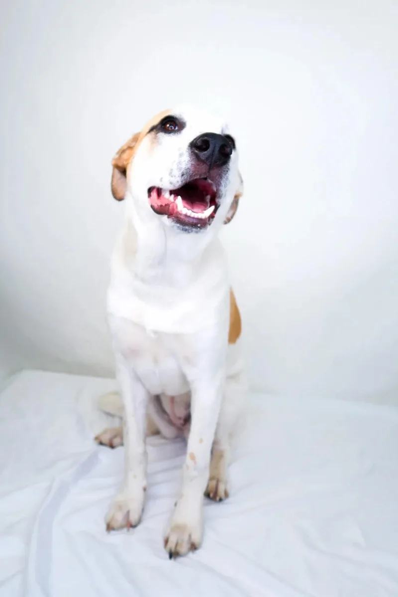 Millie Bobbie Brown thumbnail 4