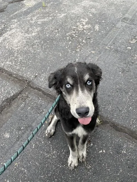 Max