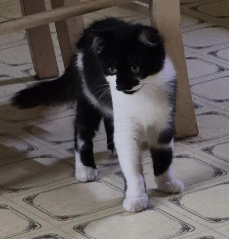 Charlie