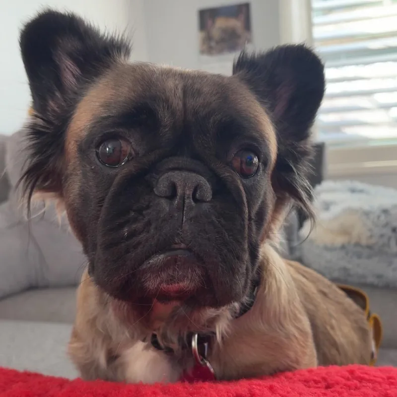 Glizzy Izzy thumbnail 2