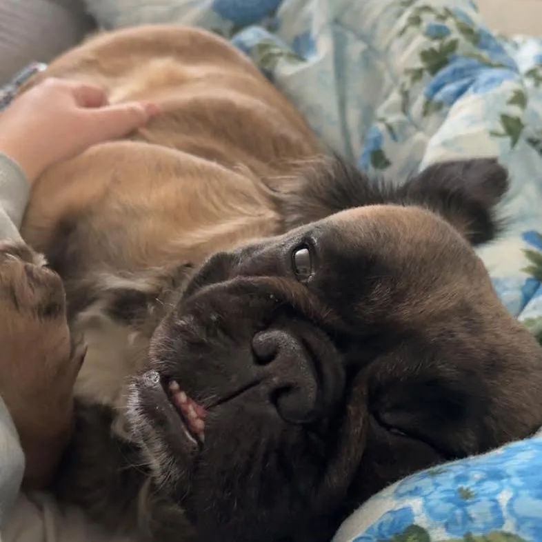 Glizzy Izzy thumbnail 4