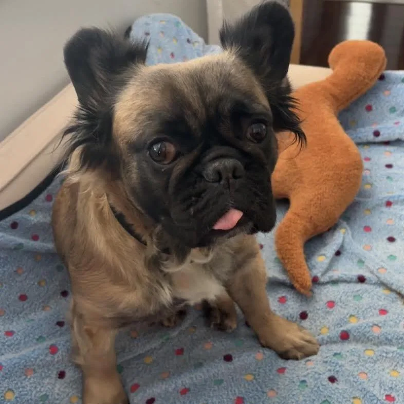 Glizzy Izzy thumbnail 5