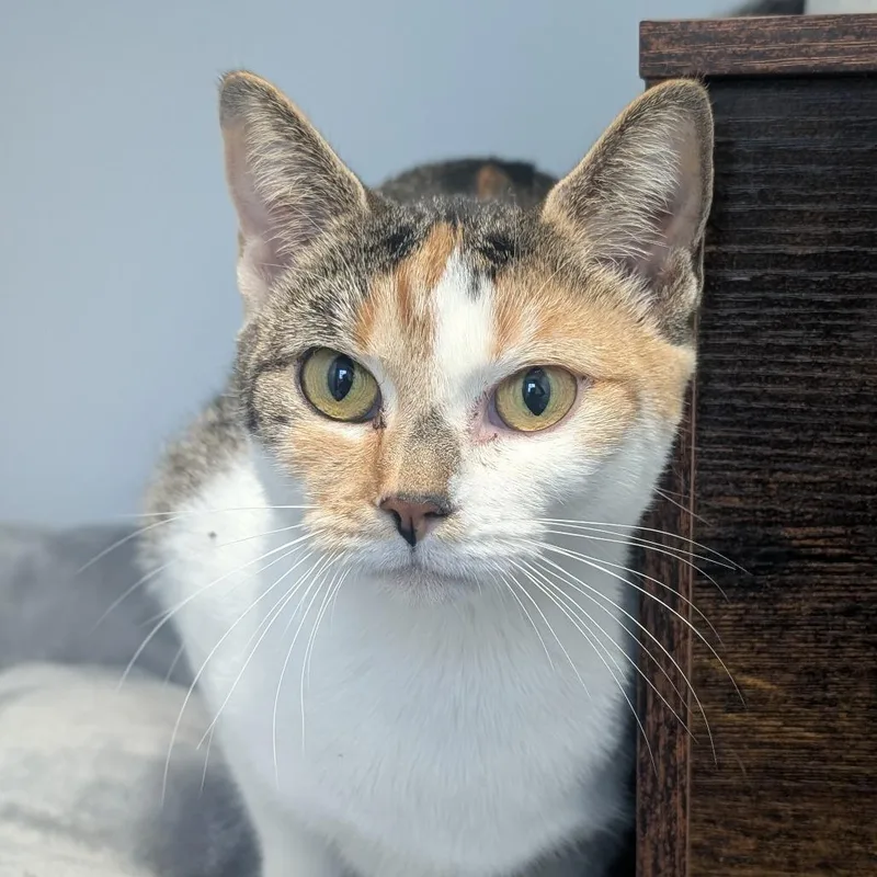 Michelle thumbnail 2