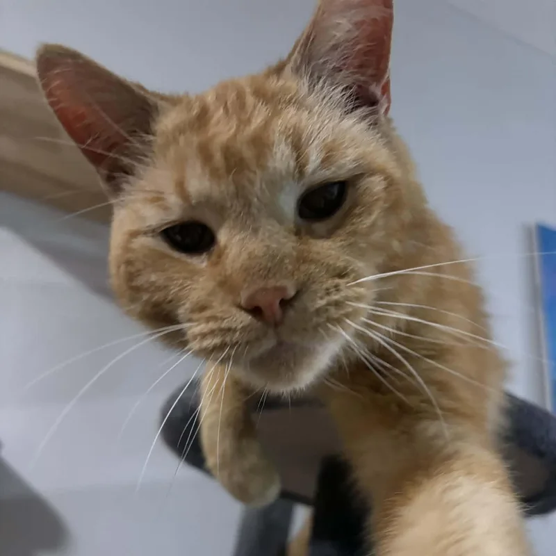Arthur thumbnail 4
