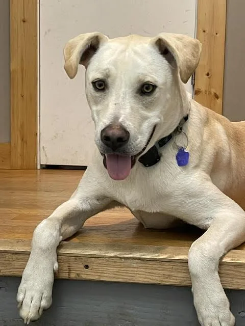 Cooper Boy thumbnail 6