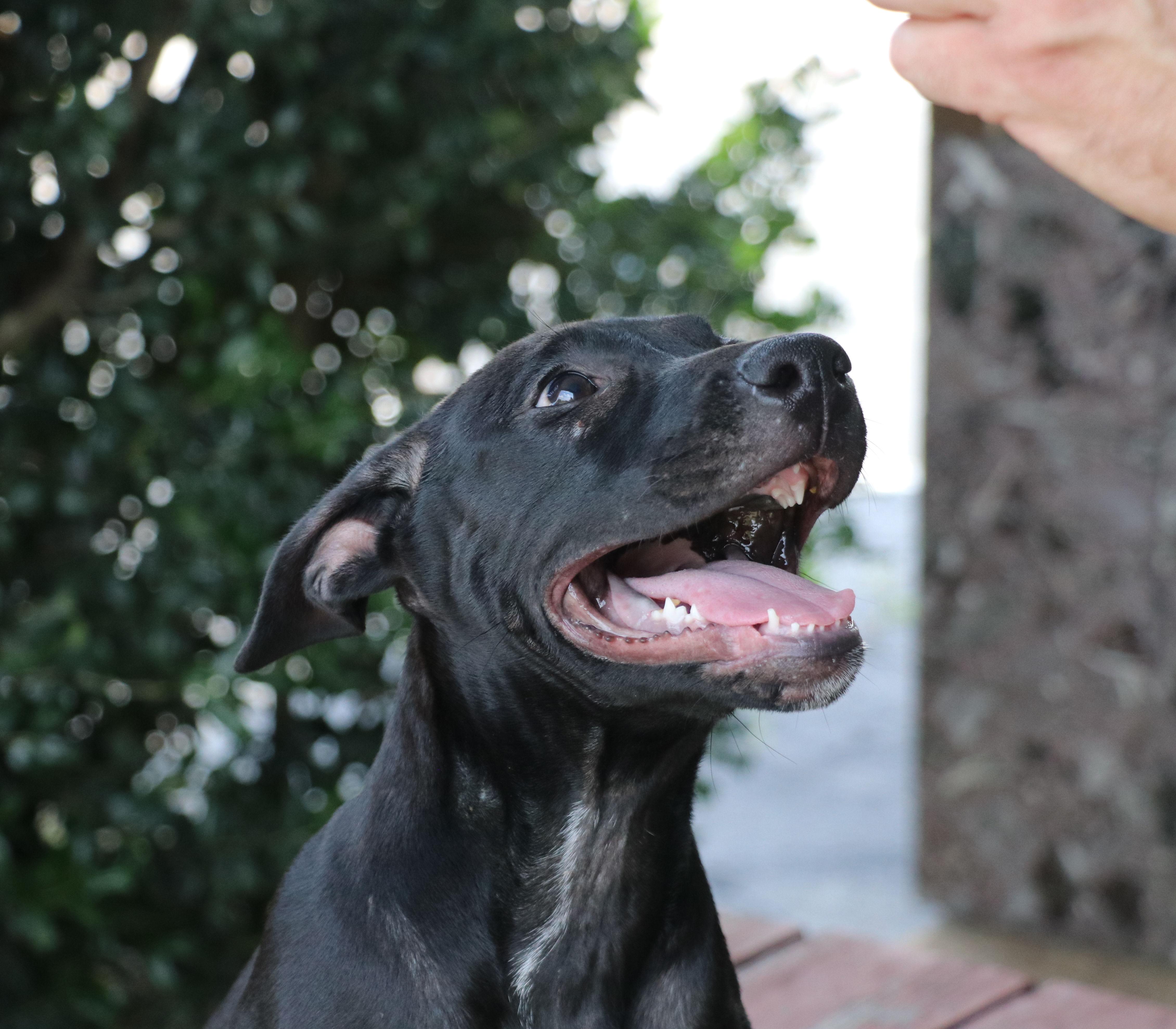 Dottie Hinson thumbnail 2