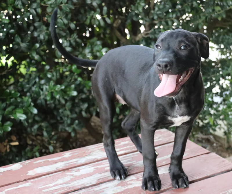 Dottie Hinson thumbnail 3