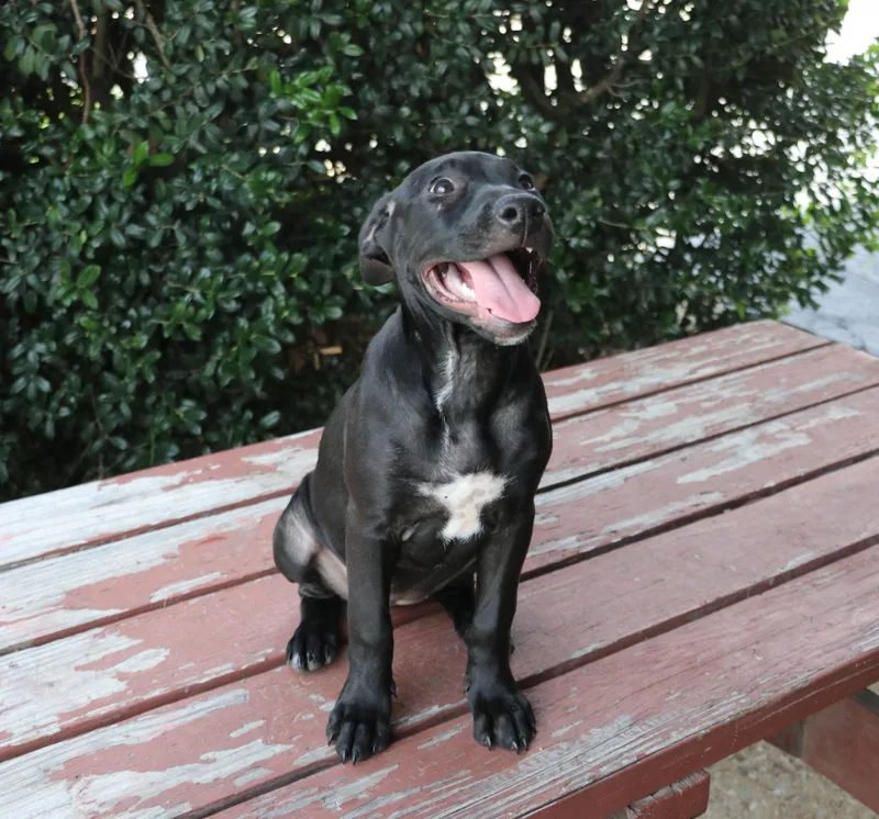 Dottie Hinson thumbnail 4