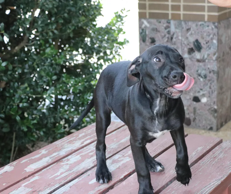 Dottie Hinson thumbnail 5