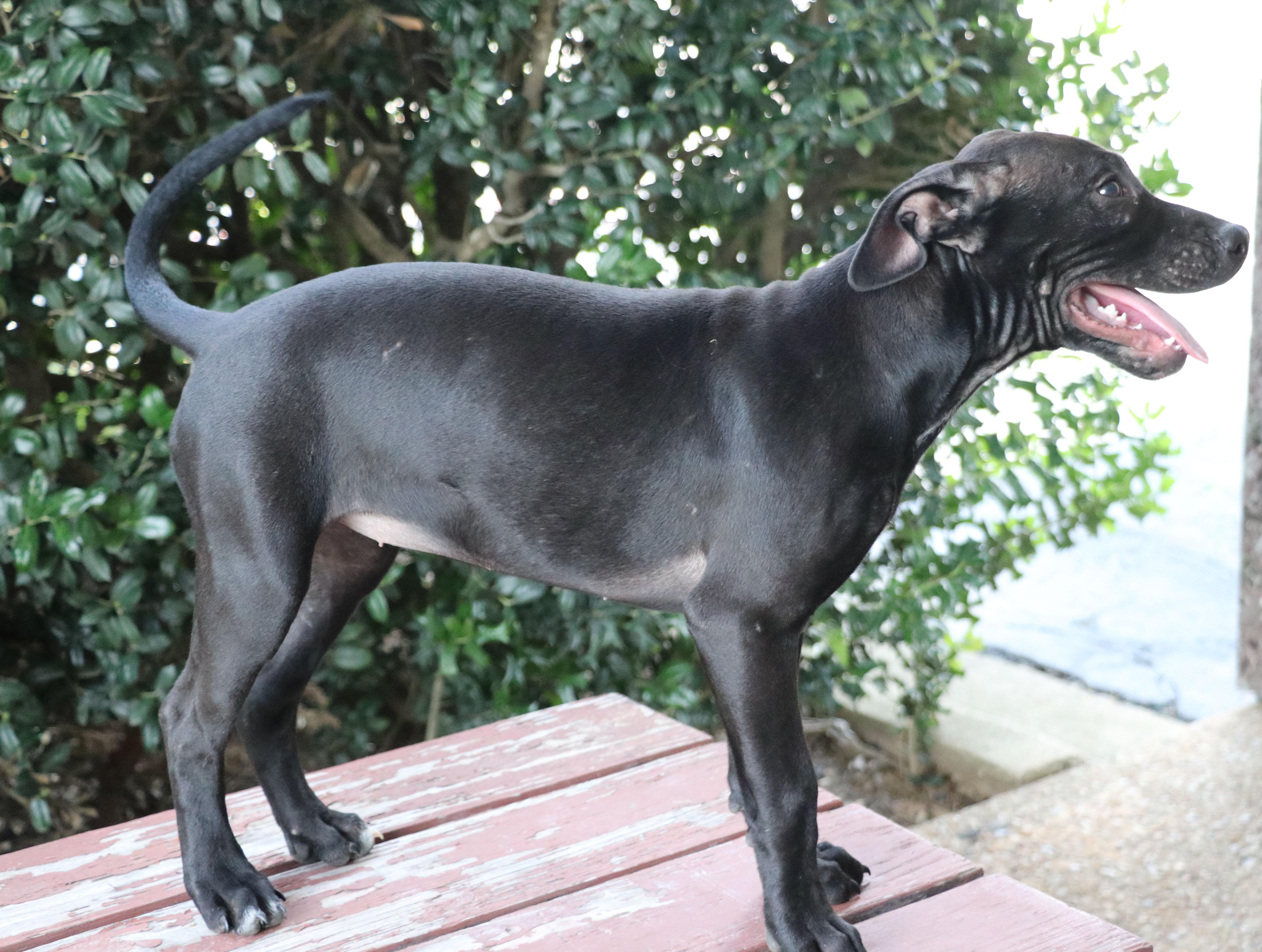 Dottie Hinson thumbnail 6