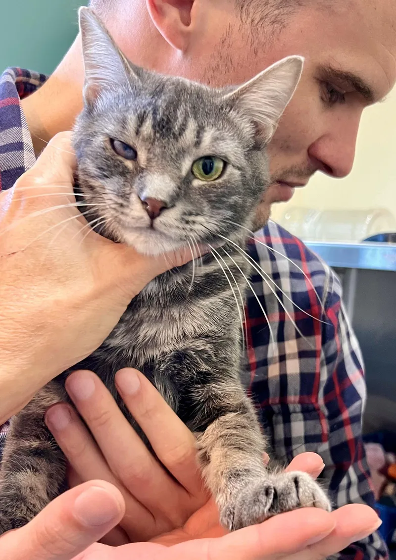 Cassandra thumbnail 2