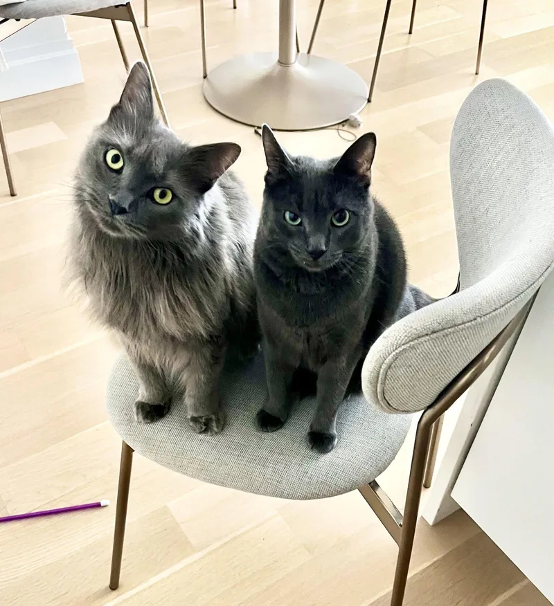 Alaska and Davey