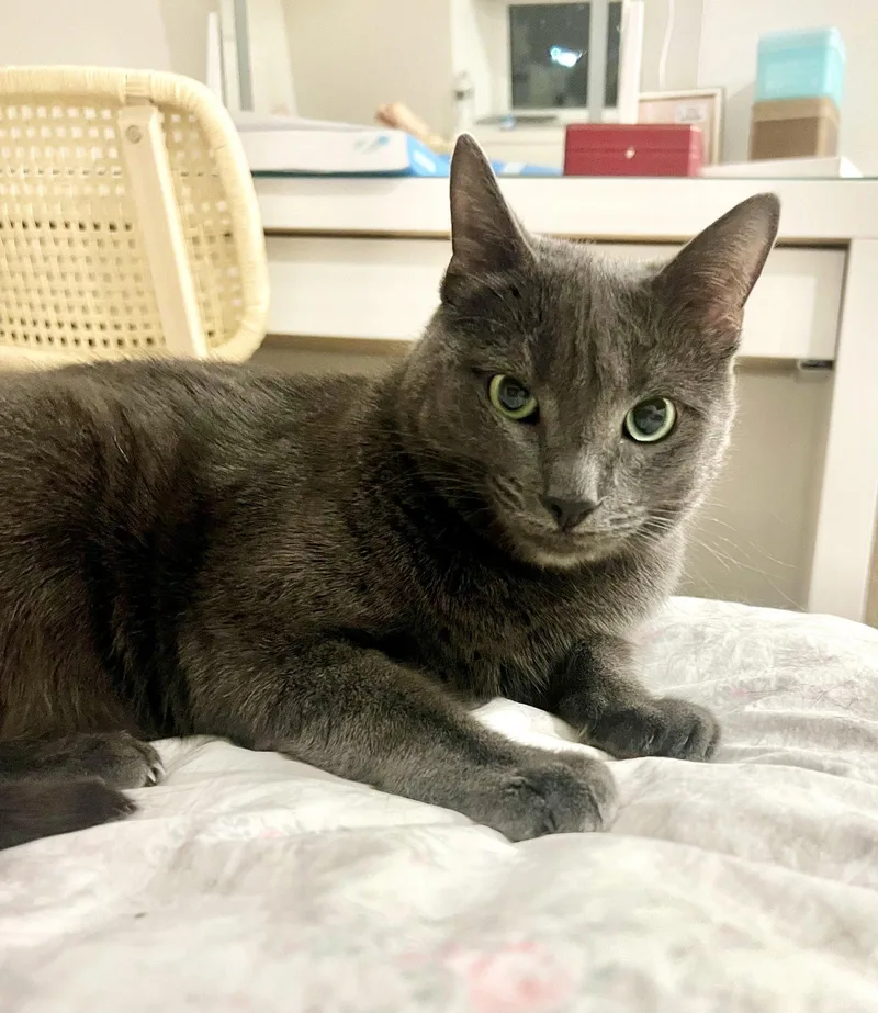 Alaska and Davey thumbnail 3