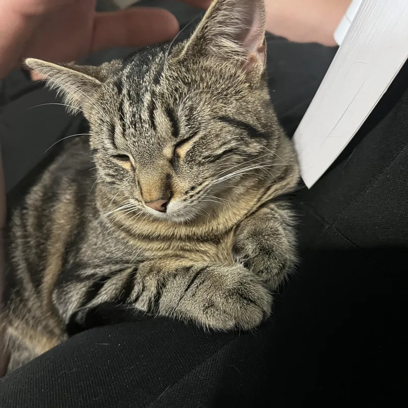 Tank & Cargo thumbnail 3