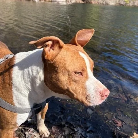 Cj ‼️coutesy Post‼️ thumbnail 2