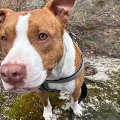 Cj ‼️coutesy Post‼️ thumbnail 3