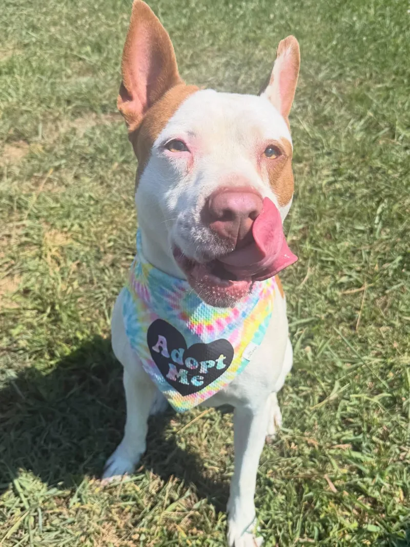 Fiona