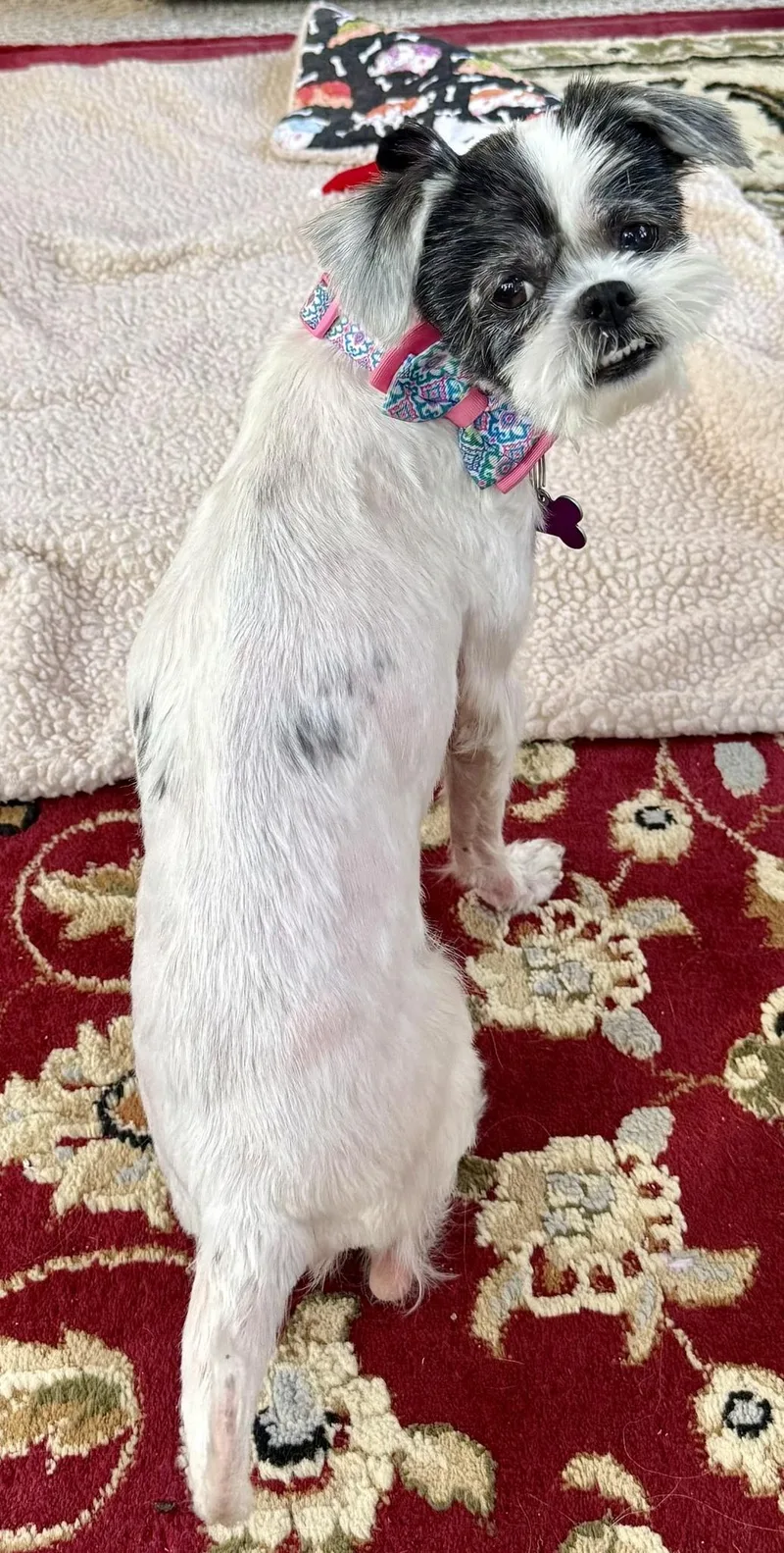 Abby