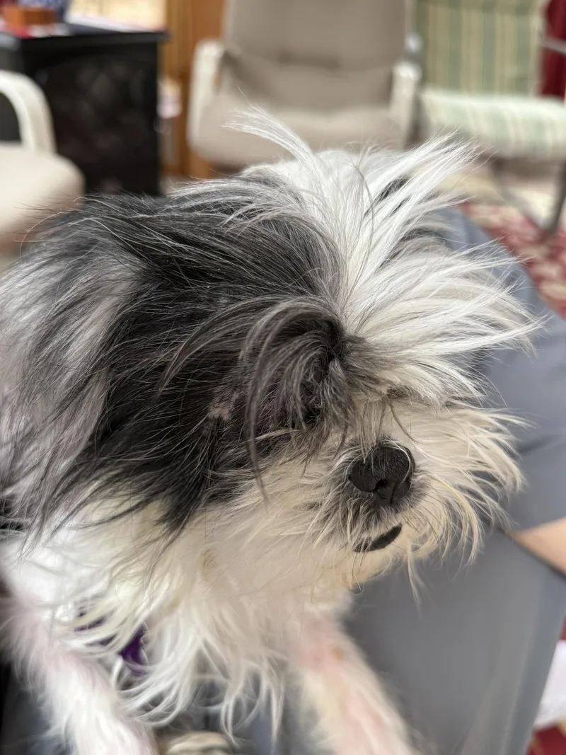 Abby thumbnail 2