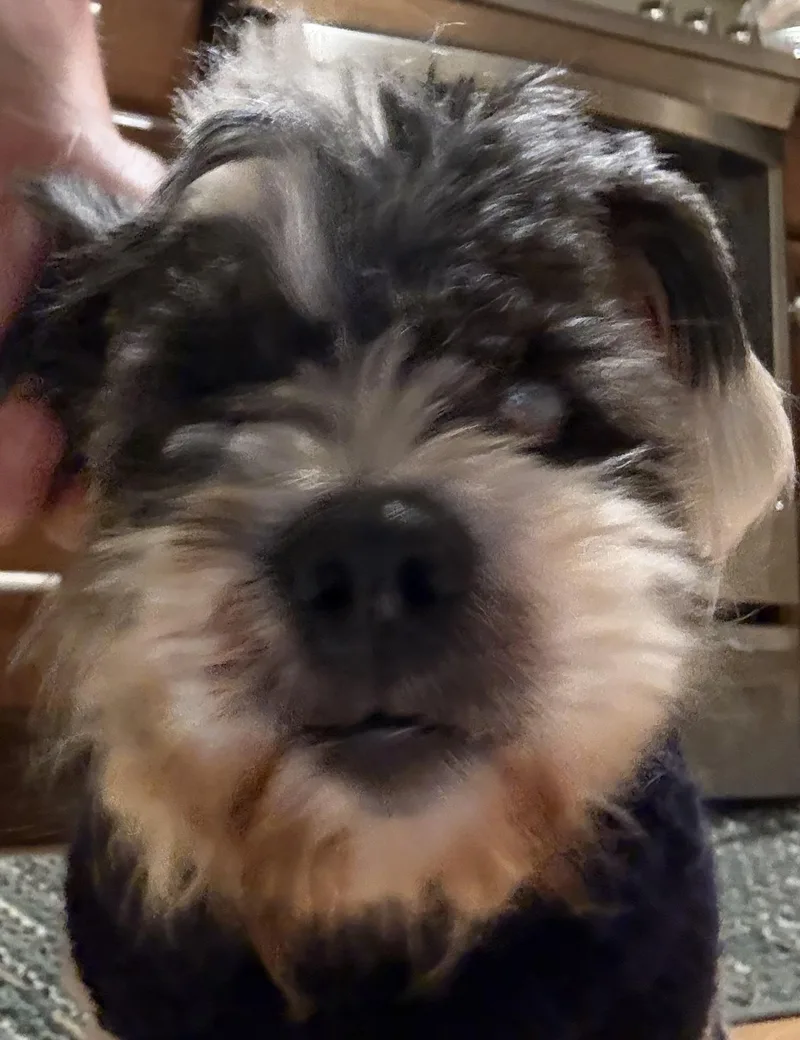 Bella Louise thumbnail 3
