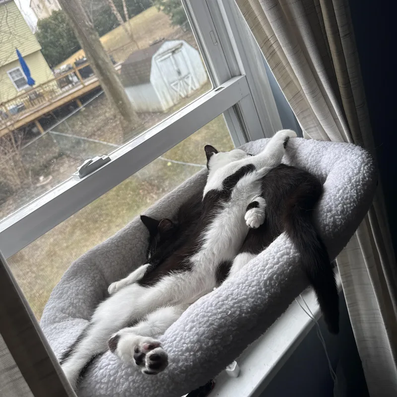 Puff And Skippy thumbnail 3