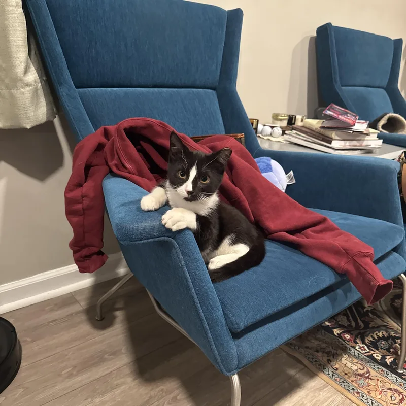 Puff And Skippy thumbnail 4