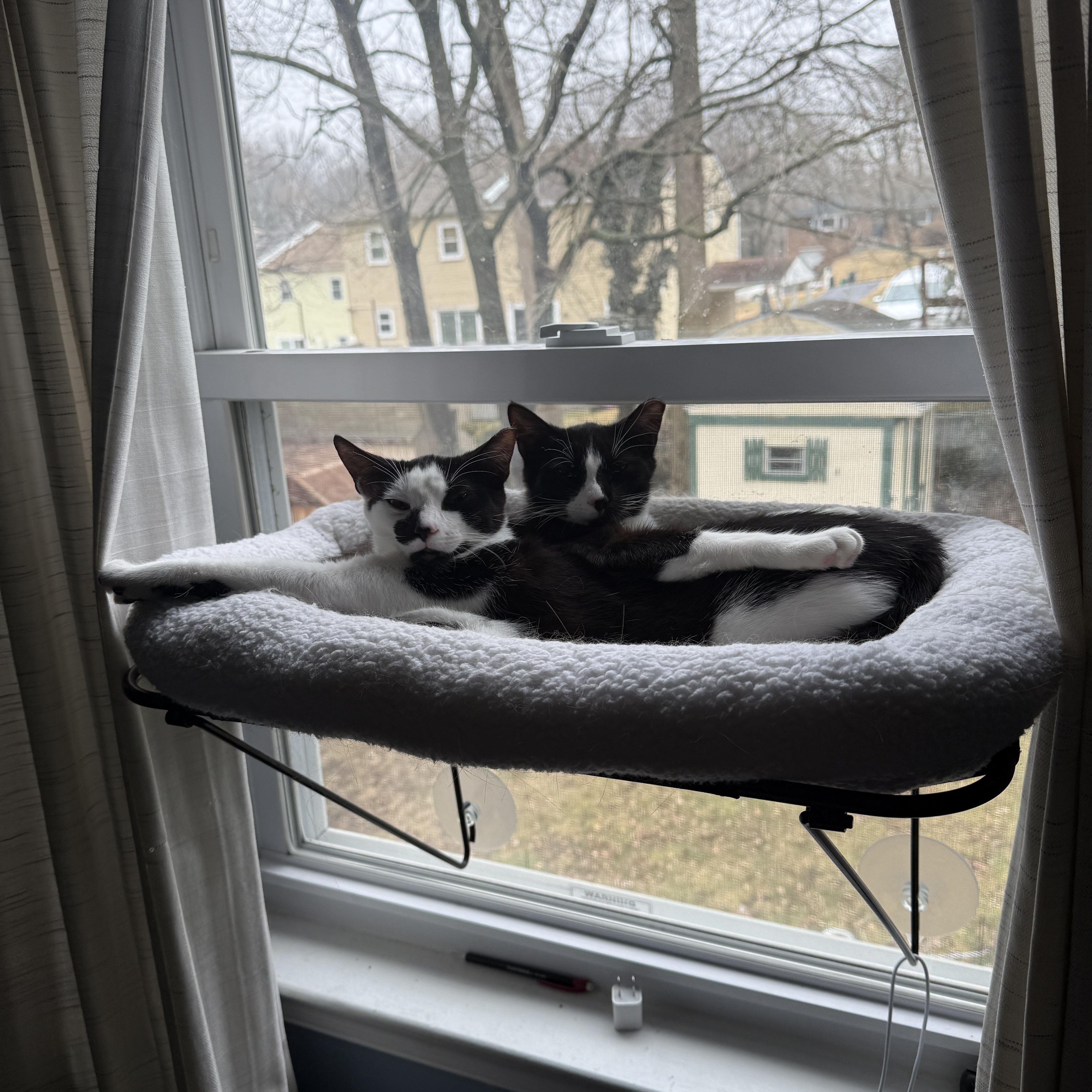 Puff And Skippy thumbnail 5