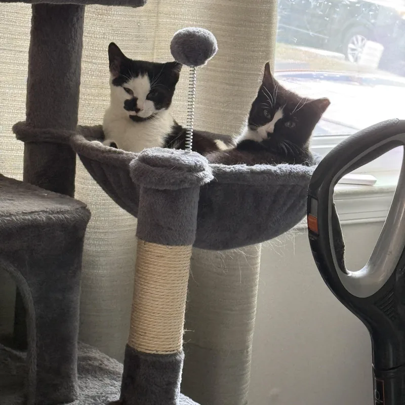 Puff And Skippy thumbnail 6