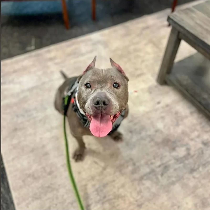 Rolly Polly thumbnail 2