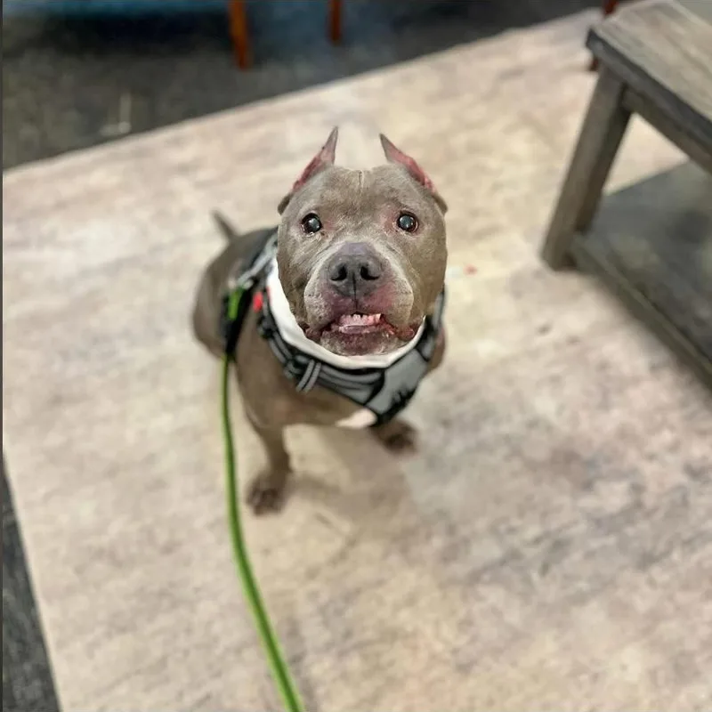 Rolly Polly thumbnail 3